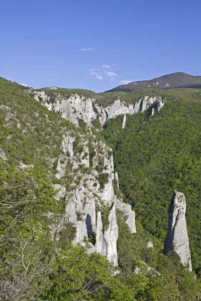 Vela Draga in Istria — Foto Stock