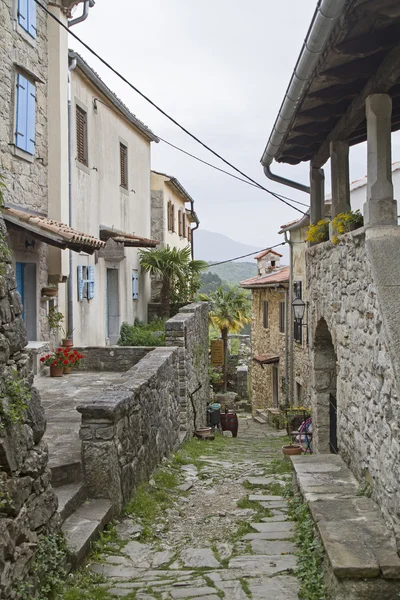 Impressioni di ronzio — Foto Stock