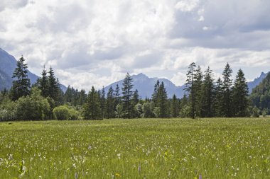 Upper Bavaria içinde Ettal Weidmoos