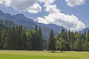 Mangfall dağlarında