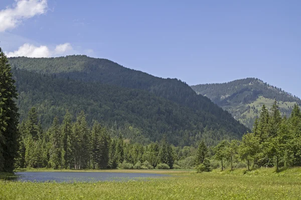 Ursprungs-dalen i Bayern — Stockfoto