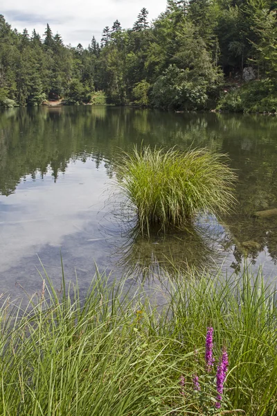 Jezero Pfrill v Tyrolsku — Stock fotografie