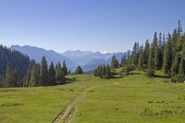 Krottenkopf Tur