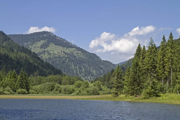 Ursprungs-dalen i Bayern — Stockfoto