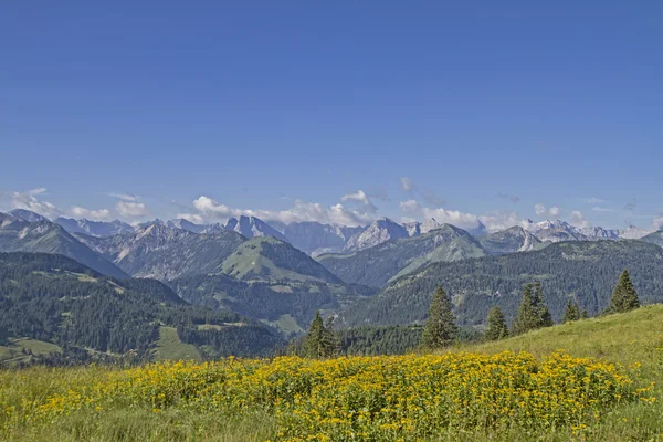 夏日的 im Karwendel 山脉， — 图库照片