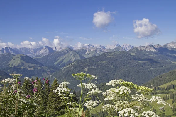 Summer im Karwendel mountains — Stock Photo, Image