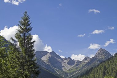 Liegfeist grup görünümünü