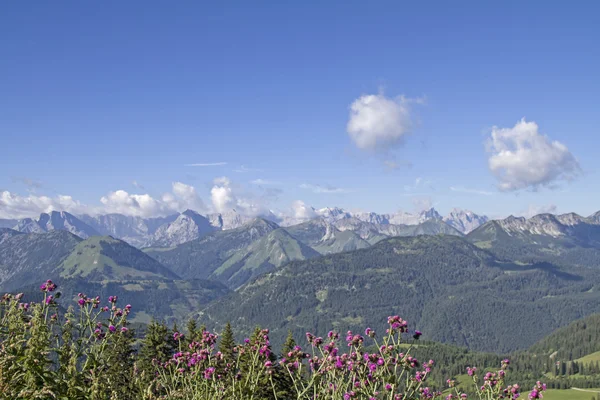 Été im Karwendel montagnes — Photo