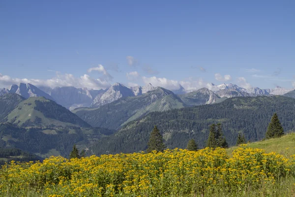 Verano im Karwendel montañas — Foto de Stock