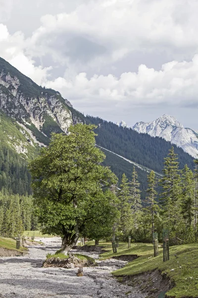 Dans la vallée d'Eppzirler — Photo