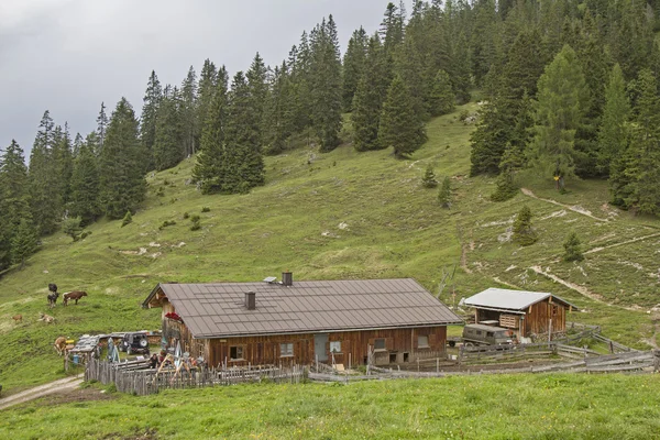 Oberbrunnalm in Karwendel bergen — Stockfoto