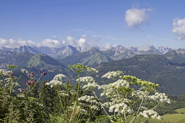 夏日的 im Karwendel 山脉， — 图库照片