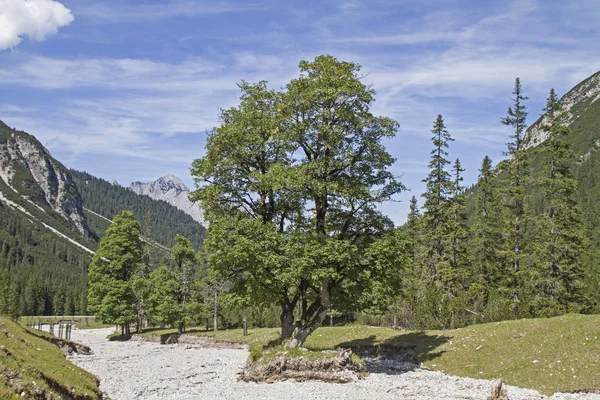 En el valle de Eppzirler — Foto de Stock