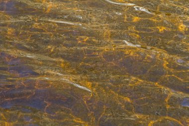 arka plan - bataklık Gölü