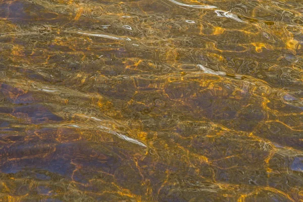 Fond - lac de tourbière — Photo