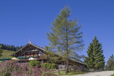 Gindelalm Mangfall dağlarda