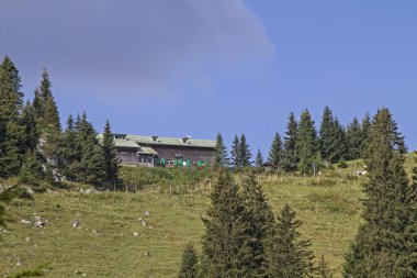 Ağustos Schuster-ev Puerschling