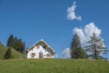 Bruennstein 'e yükselirken Seelachenalmen' i geçtiniz.