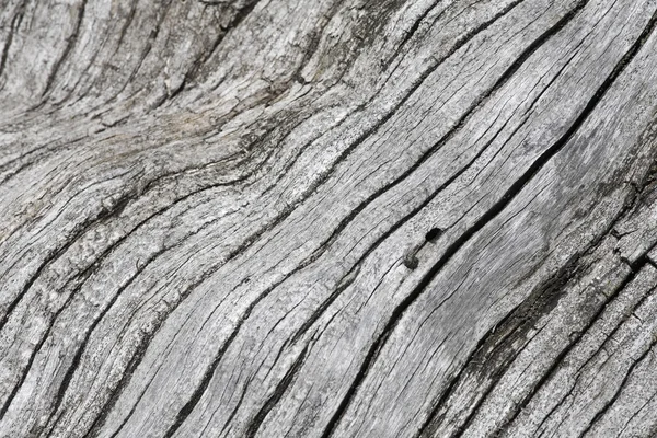 Drewno - wyblakły i stary — Zdjęcie stockowe