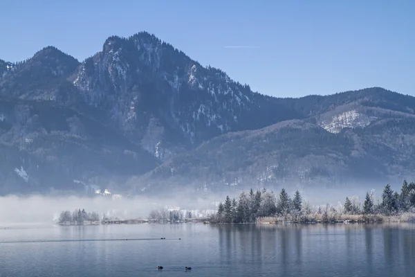 Winter morning at lake Kochel — Stock Photo, Image