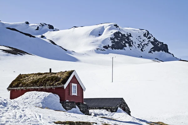 Winter at Vikafjellet — Stock Photo, Image