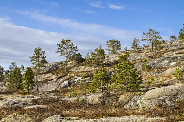 Landscape in northern Norway — Stock Photo, Image