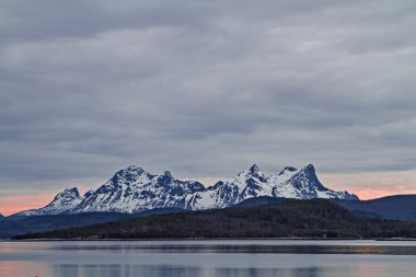 Hamaroy görünümüne