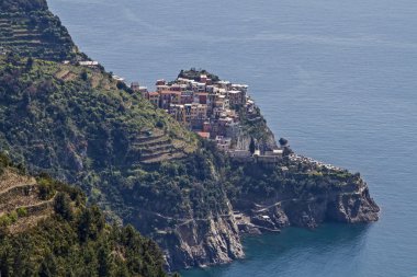 Manarola
