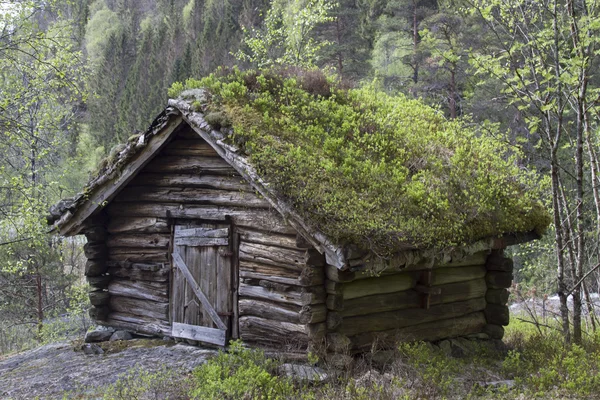 Norveç ahır — Stok fotoğraf