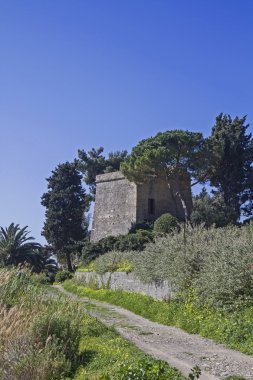 Torre Allegai