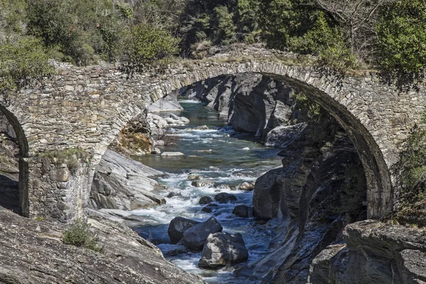 In Argentina valle — Foto Stock