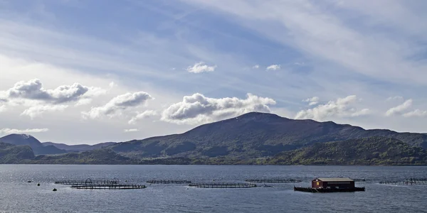 Viskwekerij in de fjord — Stockfoto