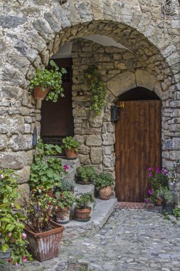 Ceriana - Ayrıntılar