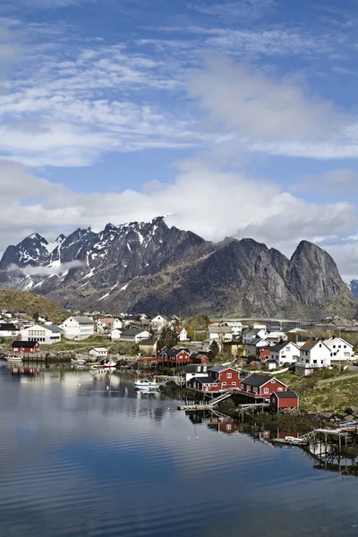 Reine — Stock Photo, Image