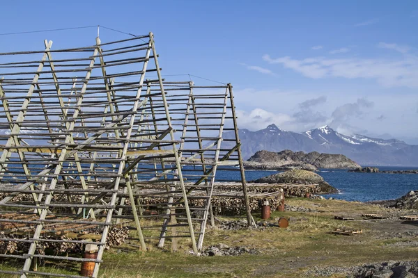 Fish Head Drying Racks — Stock Photo, Image