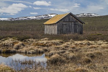 Dovrefjell içinde
