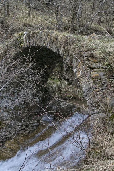 Historische bridg — Stockfoto