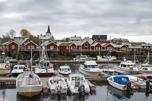 Reine — Stockfoto