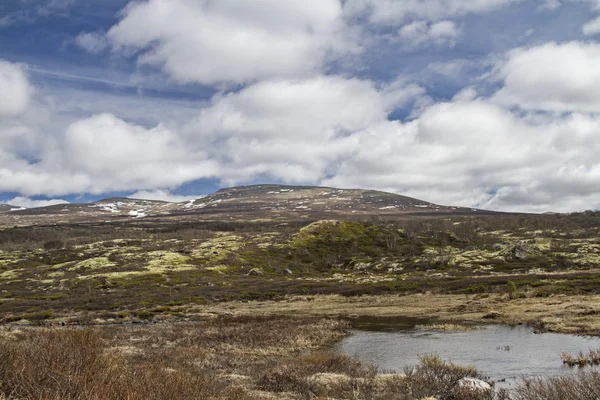 W regionie Dovrefjell — Zdjęcie stockowe