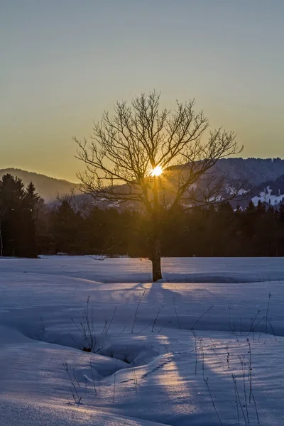 Winterabend im isarwinkel — Stockfoto