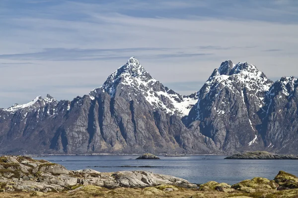 Austravagoy — Stock fotografie