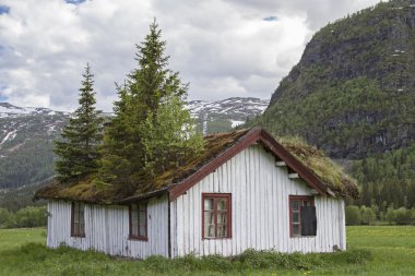 Merakla Çatı Bahçesi