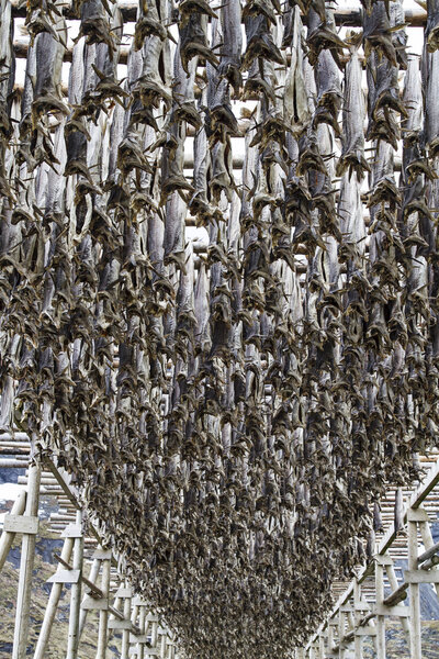 Stockfish on racks