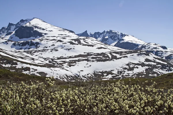 V Jotunheimenu — Stock fotografie