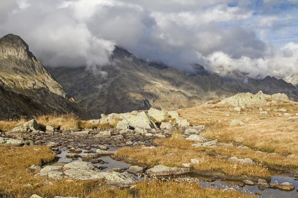 Verhoogde moeras — Stockfoto