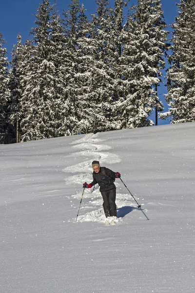 Plaisir de neige profonde — Photo