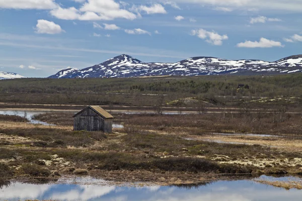 In Dovrefjell — Stock Photo, Image