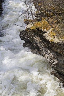 Kükreyen Saltdalen içinde su