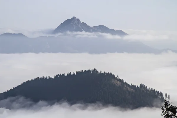 Ceață de toamnă în valea Leitzach — Fotografie, imagine de stoc