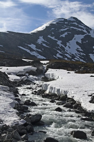 Frühling im Leirdalen — Stockfoto